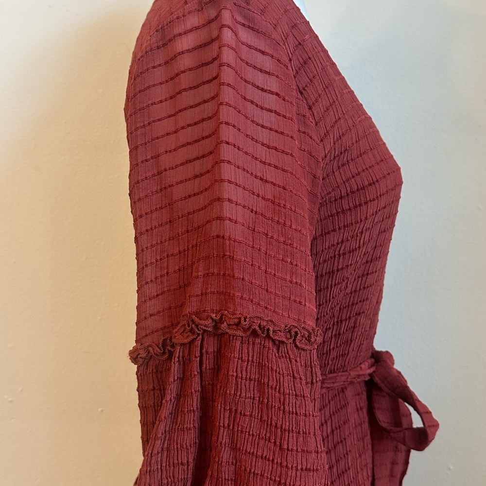 Entro Rust Red Mini Ruffle Dress - Picture 9 of 11
